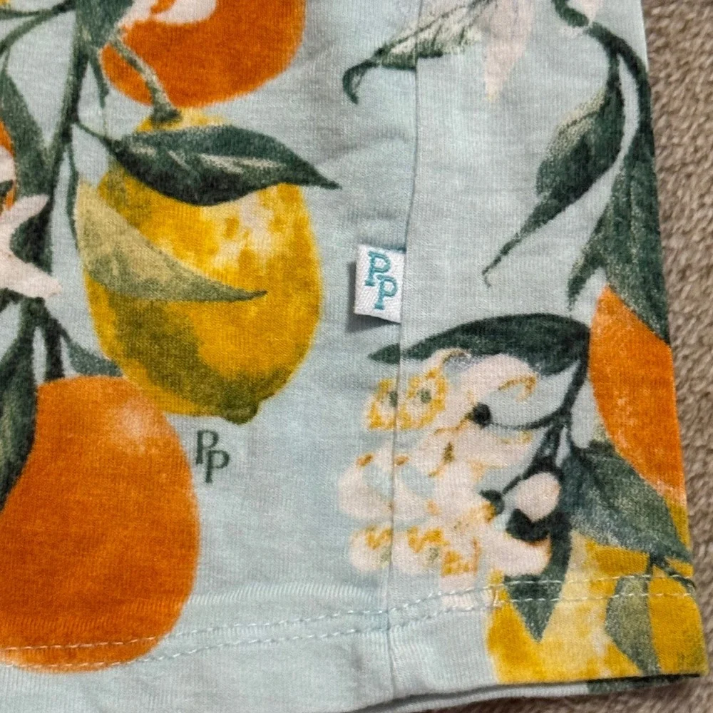 Posh Peanut Clementine Bamboo Viscose Pajama Set Kids 4T Blue Orange Lemon 2pc